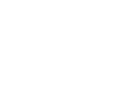 Lead Energy